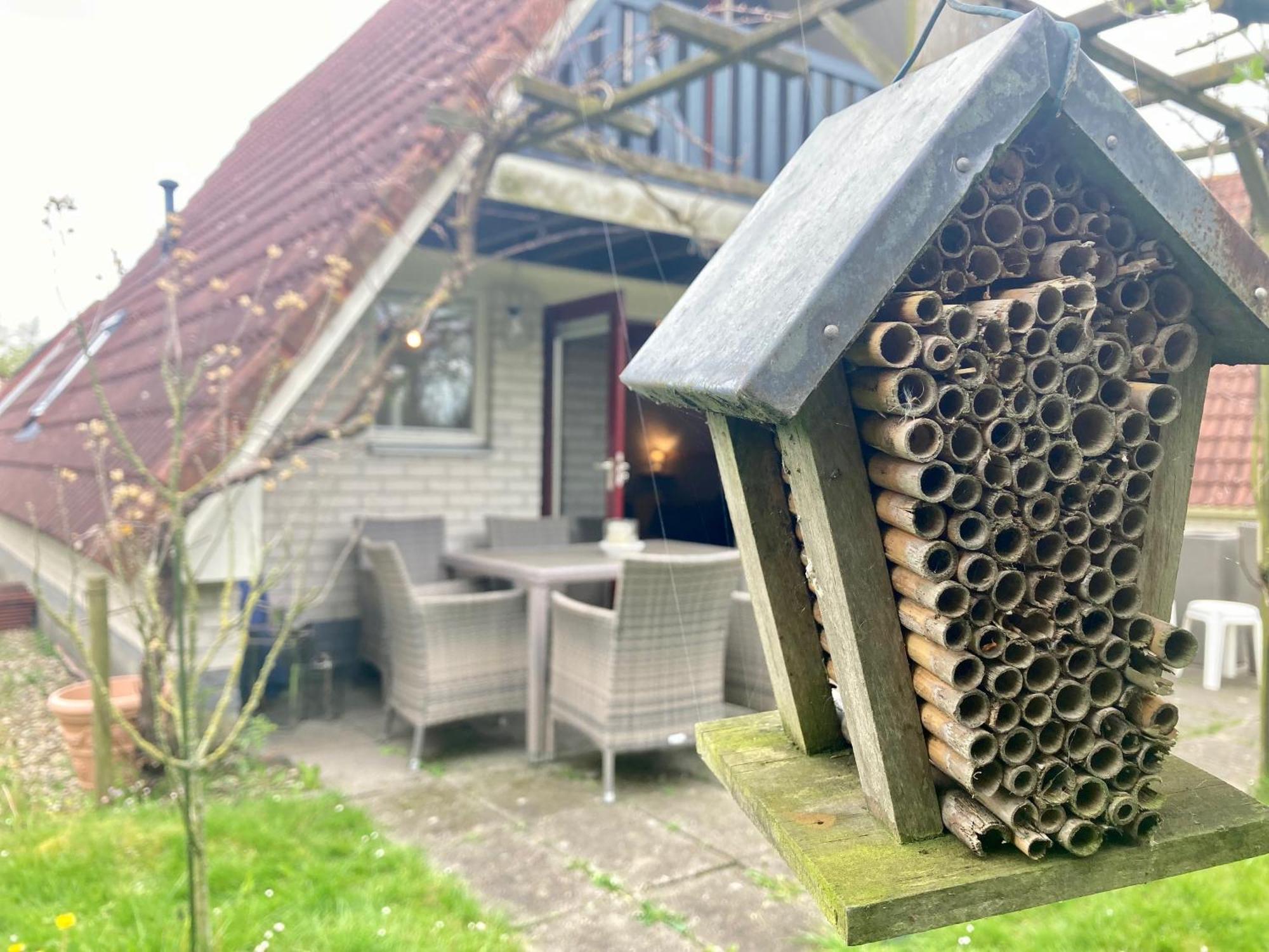 De Druif 6 Pers Holiday Home Close To The National Park Lauwersmeer Anjum 외부 사진